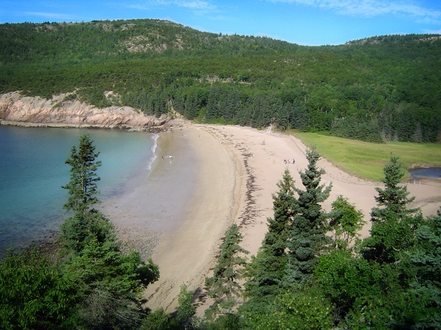 [DSC04409 copy 2[4].jpg]